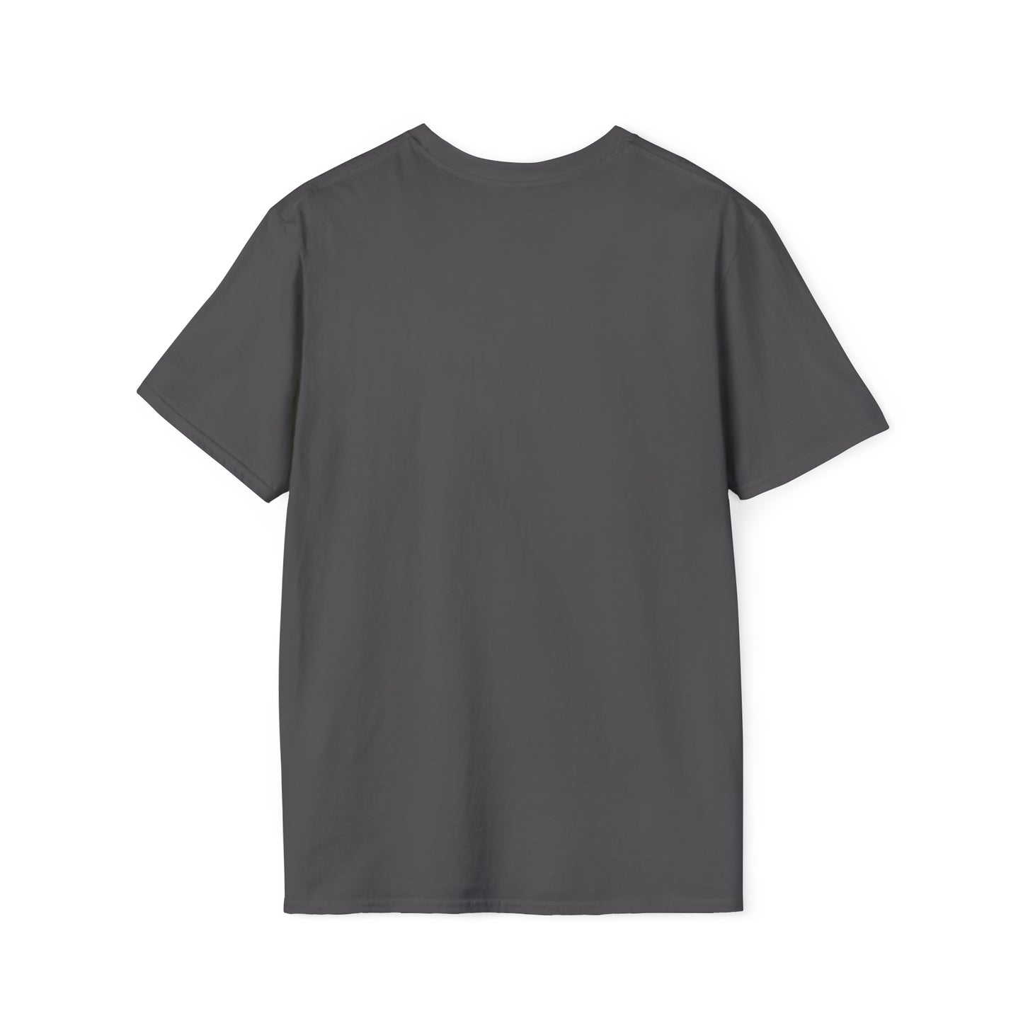 T-Shirt - I am one with the Divine